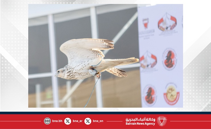 انطلاق مسابقات الصقور ضمن النسخة الحادية عشرة من موسم ناصر بن حمد للصقور والصيد